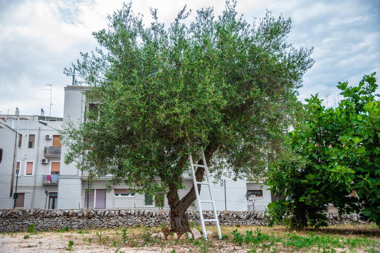 Trulli Dimora Palmisano Appartement Locorotondo Buitenkant foto